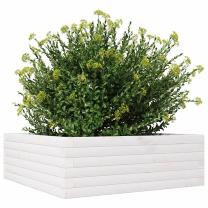 Fioriera da Giardino Bianca 70x70x23 cm Legno Massello di Pino