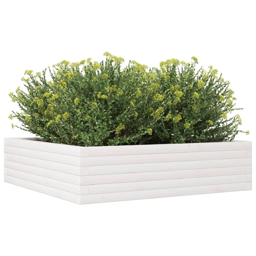 Fioriera da Giardino Bianca 90x90x23 cm Legno Massello di Pino