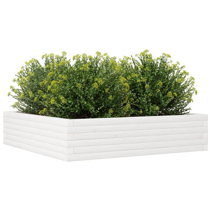 Fioriera da Giardino Bianca 100x100x23 cm Legno Massello Pino