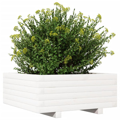 Fioriera da Giardino Bianca 60x60x26,5cm Legno Massello di Pino