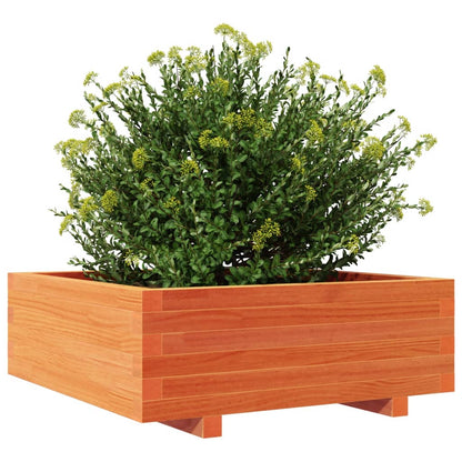 Fioriera Giardino Marrone Cera 70x70x26,5cm Legno Massello Pino