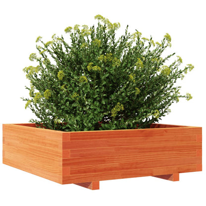 Fioriera Giardino Marrone Cera 80x80x26,5cm Legno Massello Pino