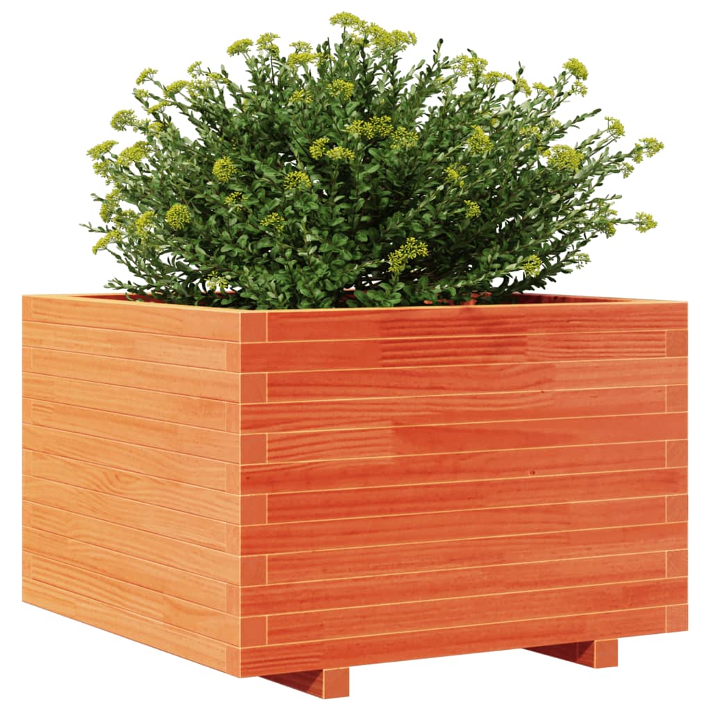 Fioriera Giardino Marrone Cera 70x70x49,5cm Legno Massello Pino