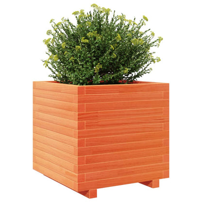 Fioriera Giardino Marrone Cera 50x50x49,5cm Legno Massello Pino