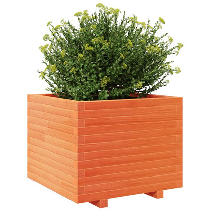 Fioriera Giardino Marrone Cera 60x60x49,5cm Legno Massello Pino