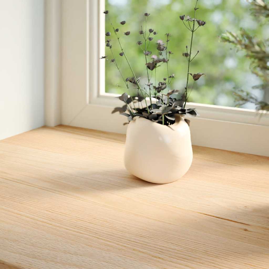 Davanzali 2 pz Non Trattati 160x30x2cm Legno Massello di Rovere
