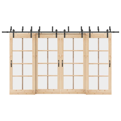 Kit di Binari per Porte Scorrevoli 400 cm Acciaio Nero