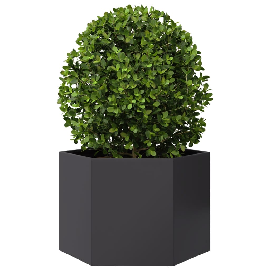 Fioriera da Giardino Nera Esagono 69x60x45 cm in Acciaio