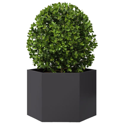 Fioriera da Giardino Nera Esagono 69x60x45 cm in Acciaio