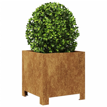 Fioriere da Giardino 2 pz 30x30x30 cm in Acciaio Corten