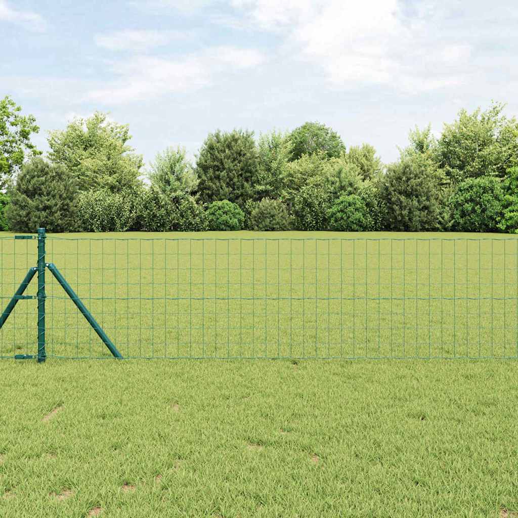 Recinzione con Posto Verde 0,8 x 25 m Acciaio
