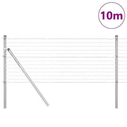 Recinzione con Posto Argento 0,8 x 10 m Acciaio e PVC