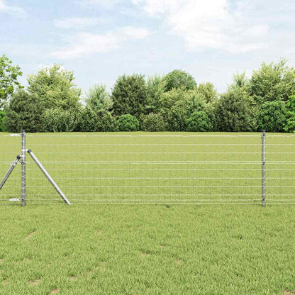 Recinzione con Posto Argento 0,6 x 10 m Acciaio e PVC