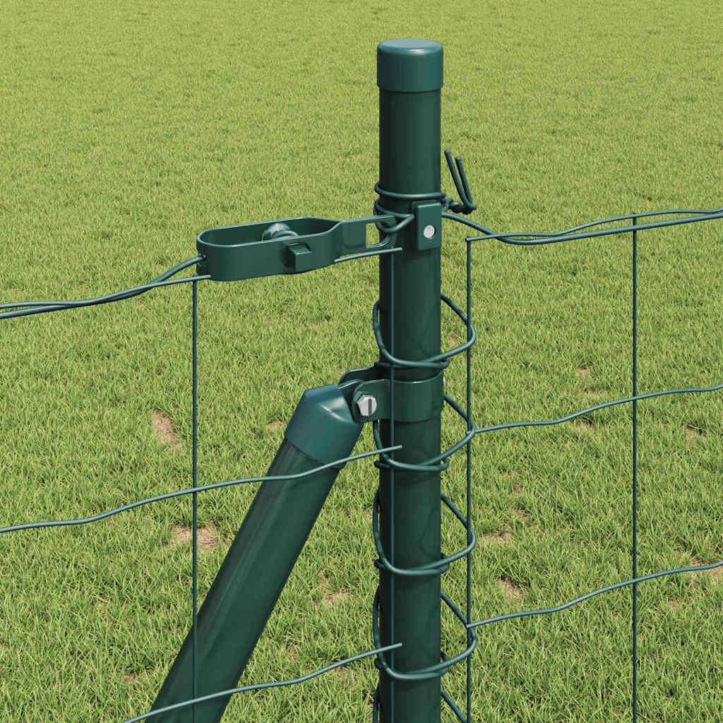Recinzione con Posto Verde 0,8 x 25 m Acciaio