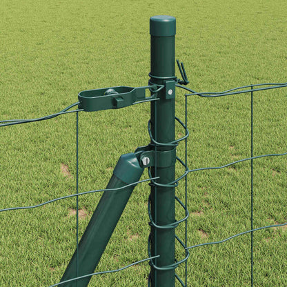 Recinzione con Posto Verde 0,8 x 25 m Acciaio