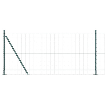 Recinzione con Posto Verde 0,8 x 25 m Acciaio