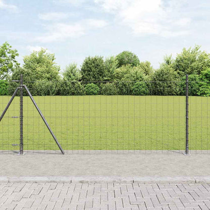 Recinzione con Posto Grigio 0,8 x 10 m Acciaio e PVC