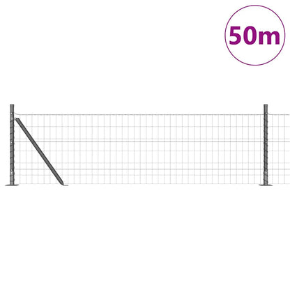 Recinzione con Posto Grigio 0,4 x 50 m Acciaio e PVC