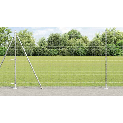 Recinzione con Posto Argento 1,4 x 10 m Acciaio