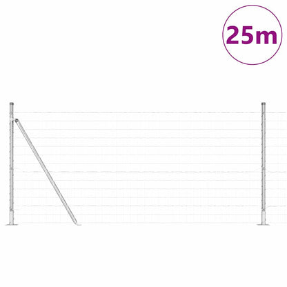 Recinzione con Posto Argento 1 x 25 m Acciaio
