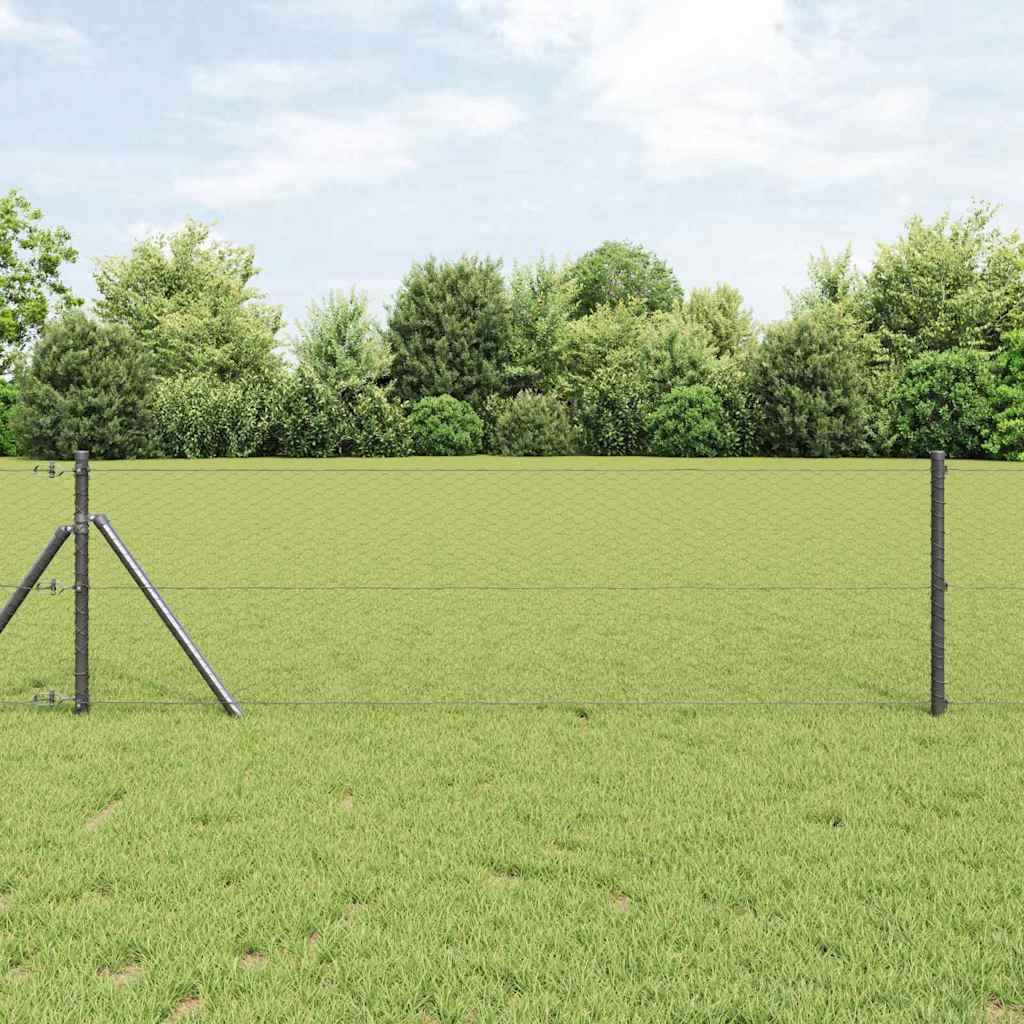 Palo della recinzione Grigio 10 x 0,6 m (rete da 25 mm)