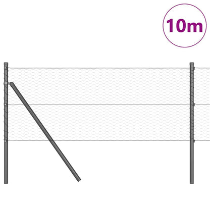 Palo della recinzione Grigio 10 x 0,6 m (rete da 25 mm)