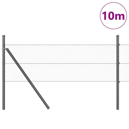 Palo della recinzione Grigio 10 x 0,8 m (rete da 25 mm)