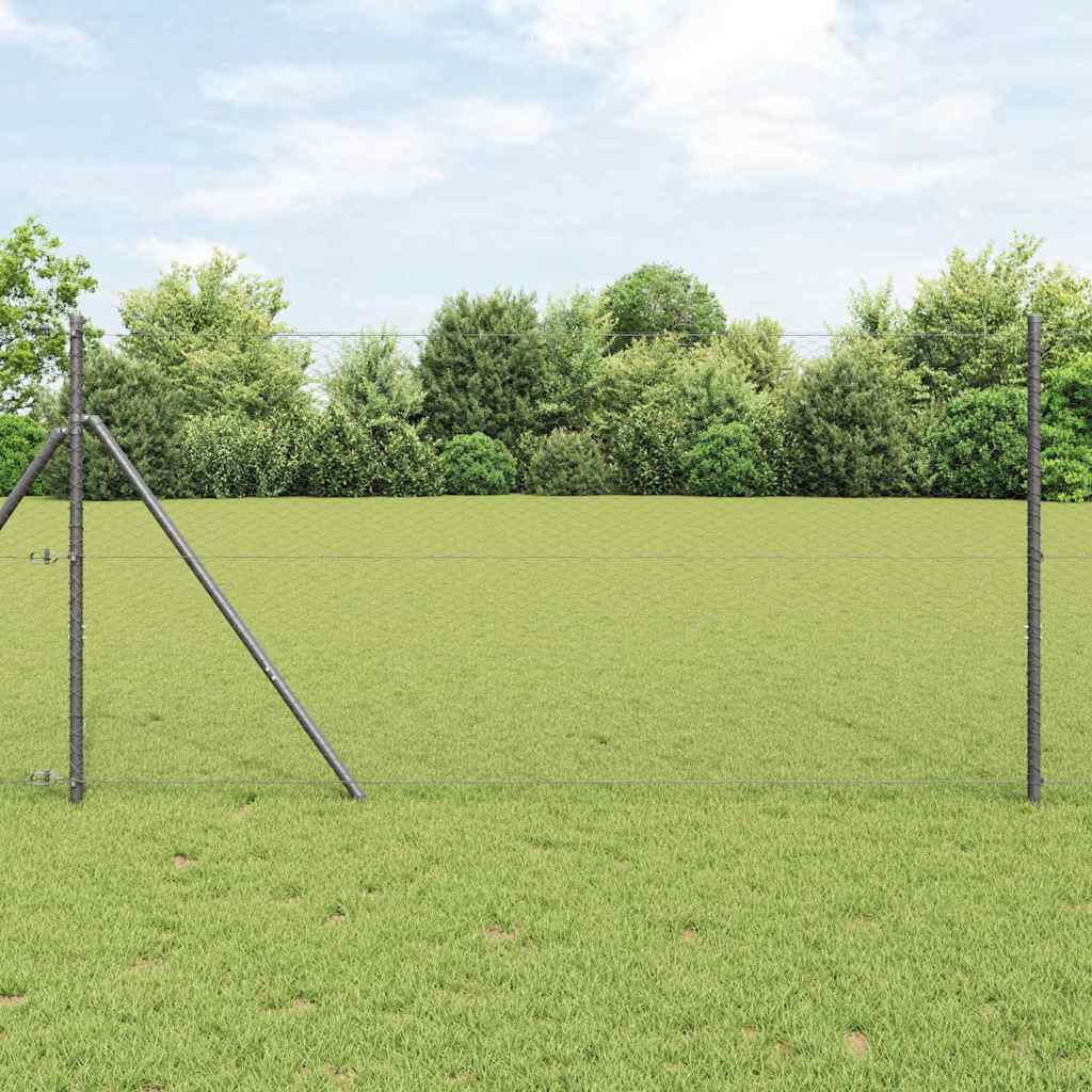 Palo della recinzione Grigio 10 x 1 m (rete da 25 mm)