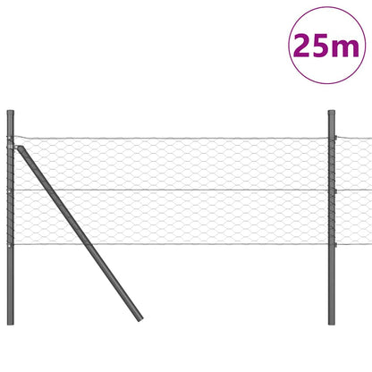 Palo della recinzione Grigio 25 x 0,5 m (maglia da 36 mm)