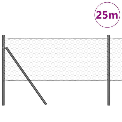 Palo della recinzione Grigio 25 x 0,6 m (maglia 36 mm)