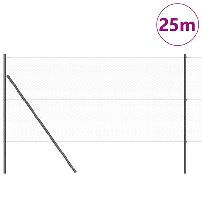 Palo della recinzione Grigio 25 x 1 m (25 mm rete) Acciaio