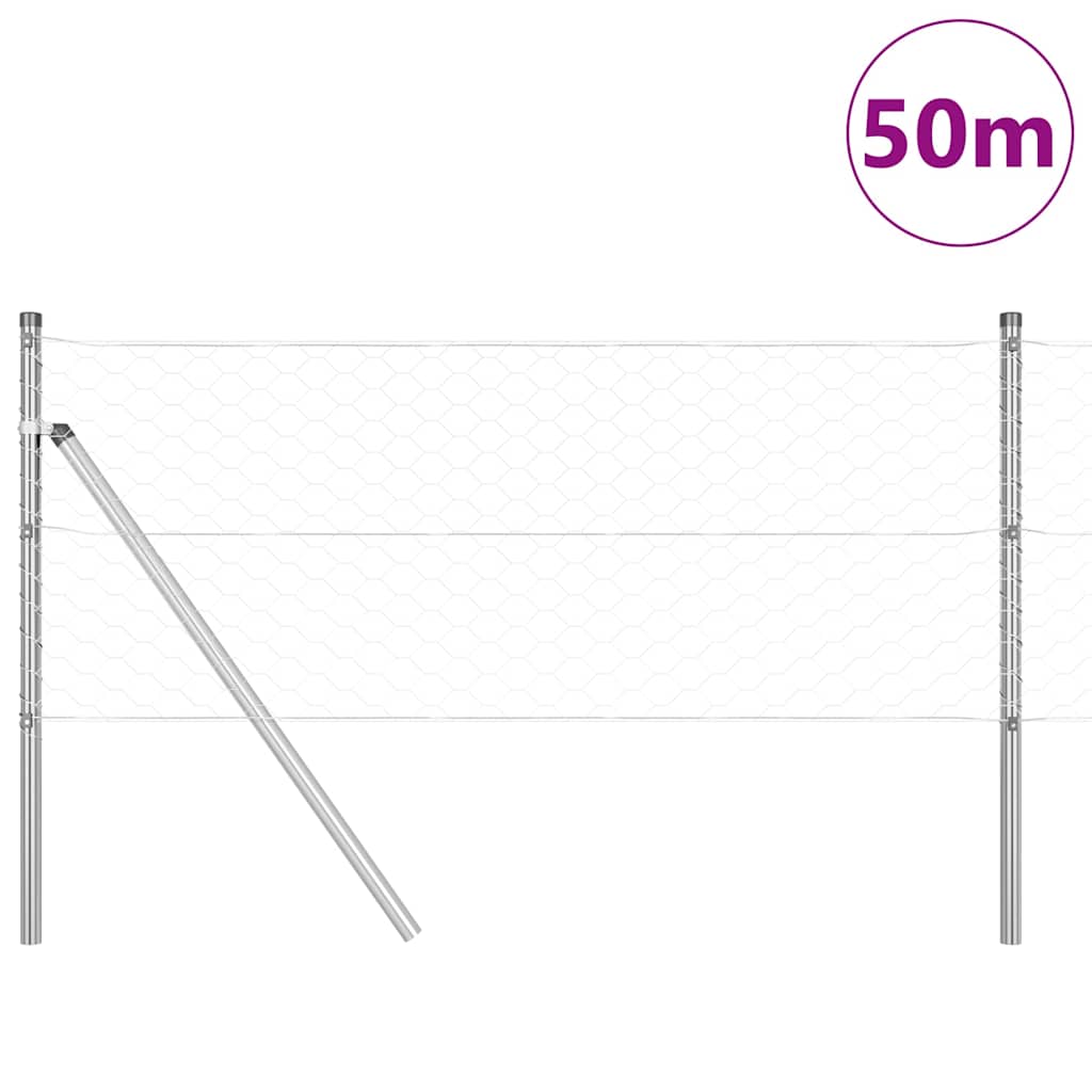 Palo della recinzione Argento 50 x 0,6 m (rete a maglia 50 mm)