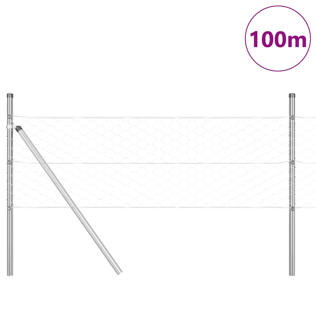 Palo della recinzione Argento 100 x 0,5 m (maglia di 50 mm)