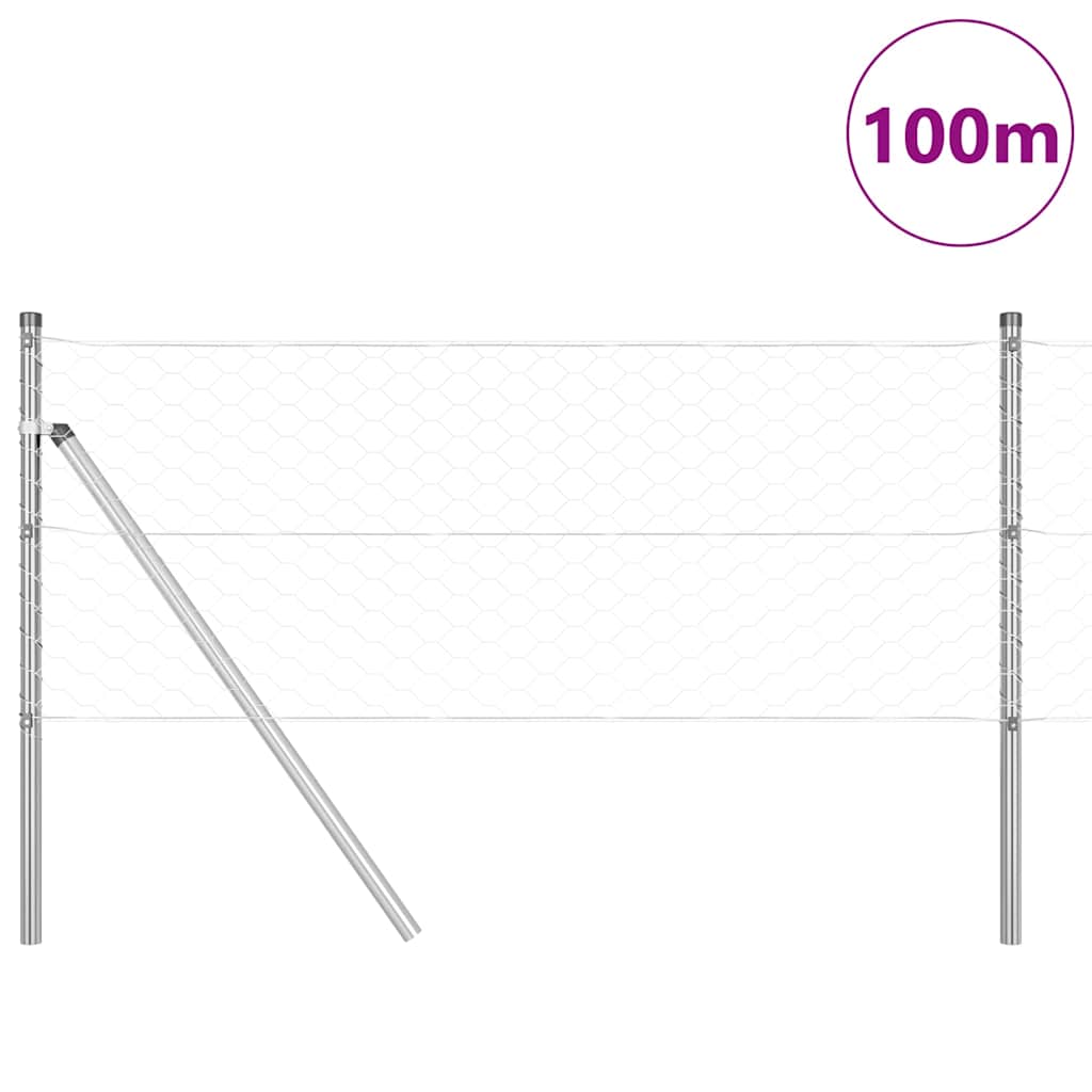 Palo della recinzione Argento 100 x 0,6 m (rete da 50 mm)