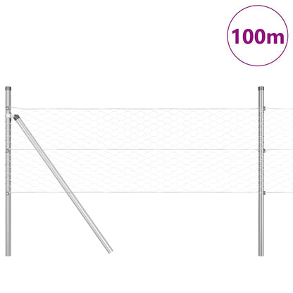 Palo della recinzione Argento 100 x 0,8 m (rete da 36 mm)