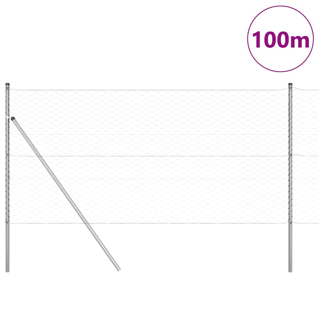 Palo della recinzione Argento 100 x 1,2 m (rete 50 mm) Acciaio