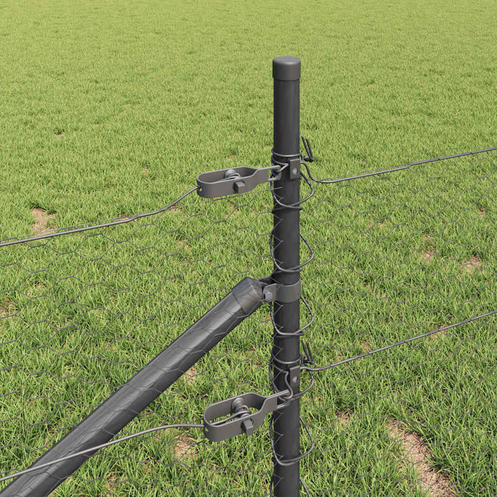 Palo della recinzione Grigio 50 x 0,5 m (25 mm rete)