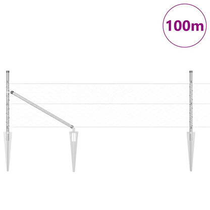 Palo della recinzione Argento 100 x 0,5 m (maglia di 50 mm)