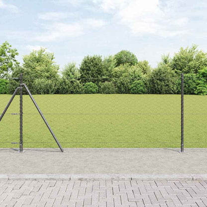 Palo della recinzione Grigio 25 x 0,8 m (maglia 50 mm)