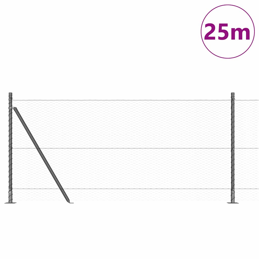 Palo della recinzione Grigio 25 x 1 m (25 mm rete) Acciaio