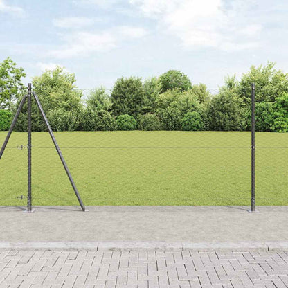 Palo della recinzione Grigio 50 x 1,6 m (36 mm rete)