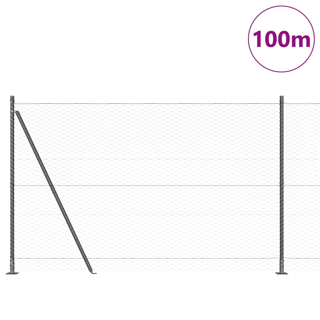 Palo della recinzione Grigio 100 x 1,6 m (rete da 36 mm)
