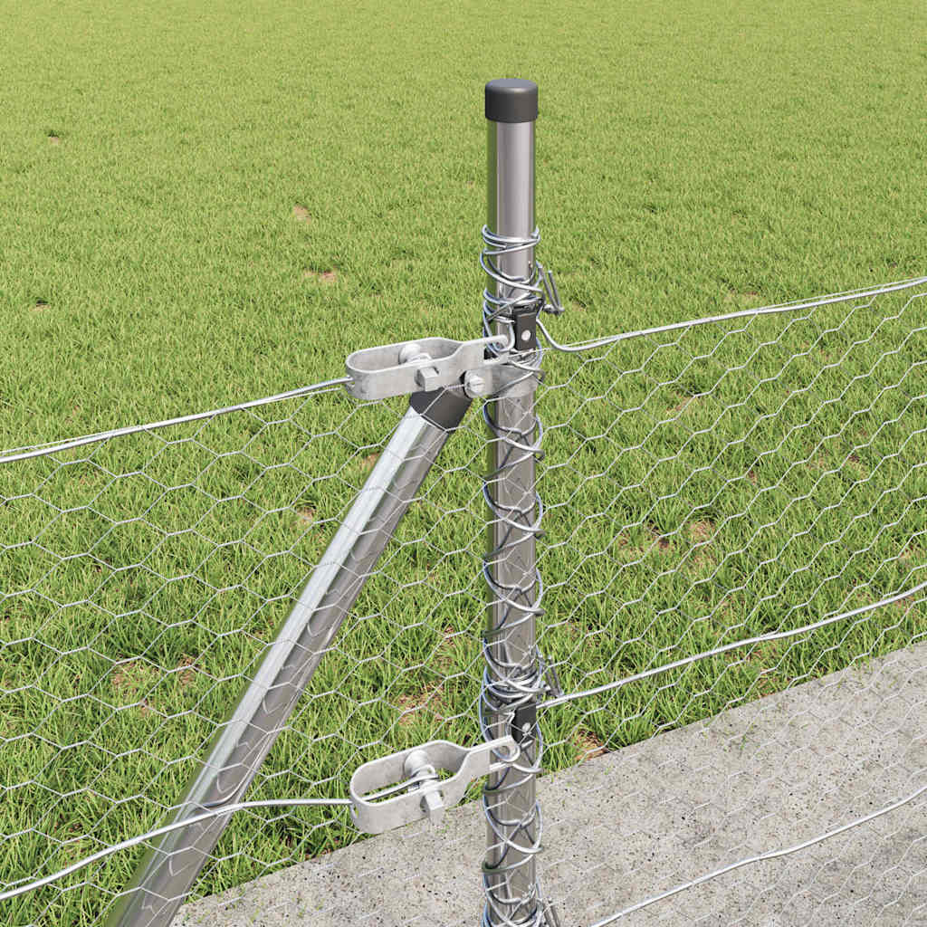 Palo della recinzione Argento 50 x 0,5 m (25 mm rete) Acciaio