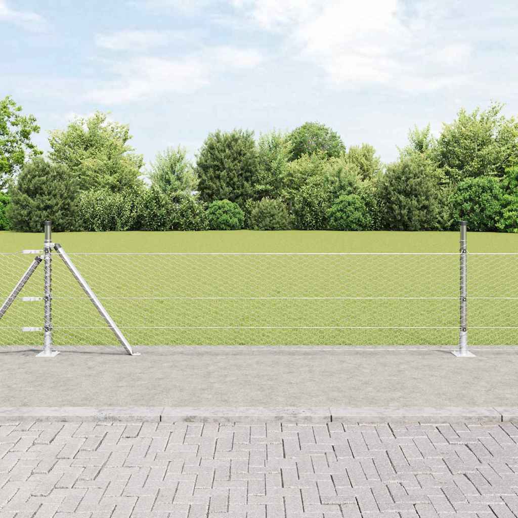 Palo della recinzione Argento 50 x 0,5 m (25 mm rete) Acciaio