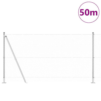 Palo della recinzione Argento 50 x 1,2 m (25 mm rete) Acciaio