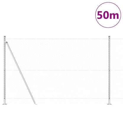 Palo della recinzione Argento 50 x 1,4 m (rete 25 mm) Acciaio
