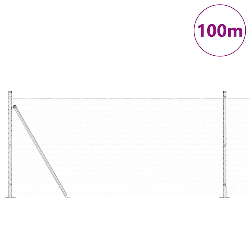 Palo della recinzione Argento 100 x 0,8 m (rete da 25 mm)