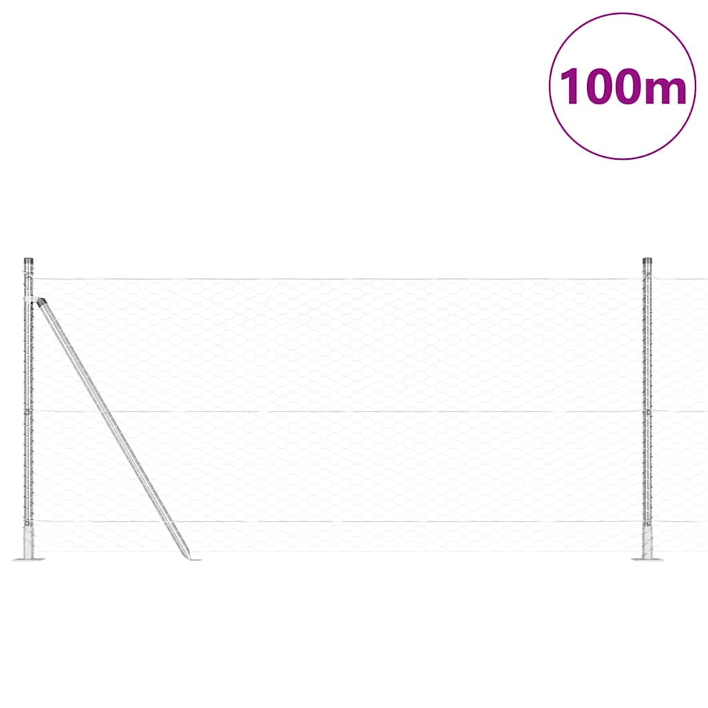 Palo della recinzione Argento 100 x 0,8 m (rete da 36 mm)