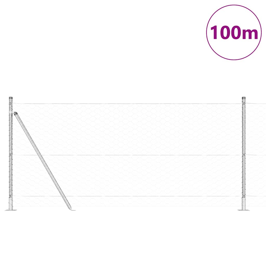 Palo della recinzione Argento 100 x 0,8 m (maglia da 50 mm)