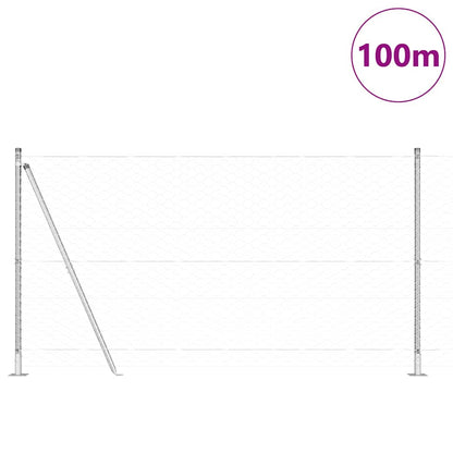 Palo della recinzione Argento 100 x 1,2 m (rete 50 mm) Acciaio